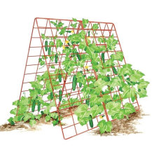 Garden Metal Wall Trellis Powder Coated Wire Mesh Panels for Cucumber Climbing